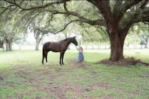 Rustic Oak Acres *Wedding or Content Worthy!*